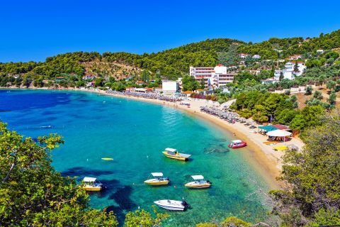 Achladies Beach Skiathos: Close to Town, Easy by Boat, Family-Friendly