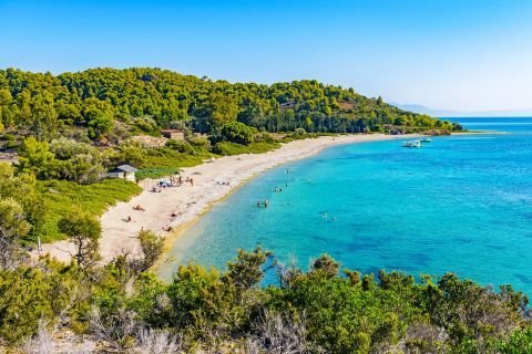 Katharina Beach Skiathos: The Tamarisk-Shaded Cove Near Koukounaries