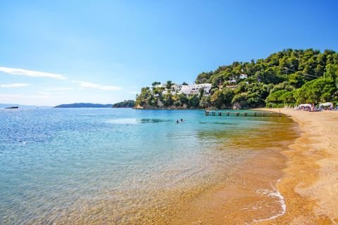 Tzaneria Beach Skiathos: The Quiet Cove with Tree-Lined Shore