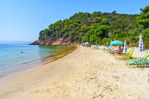 Xenia Beach Skiathos: The Quiet Neighbour of Koukounaries